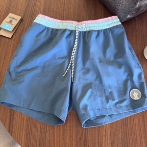 chubbies Pink and Blue Swim Trunks